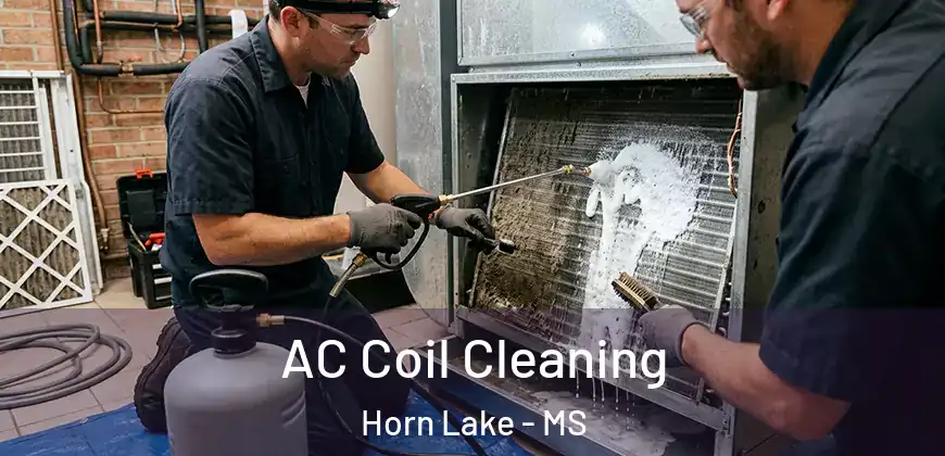 AC Coil Cleaning Horn Lake - MS