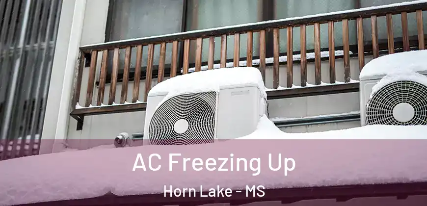  AC Freezing Up Horn Lake - MS