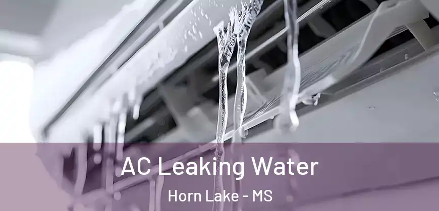  AC Leaking Water Horn Lake - MS