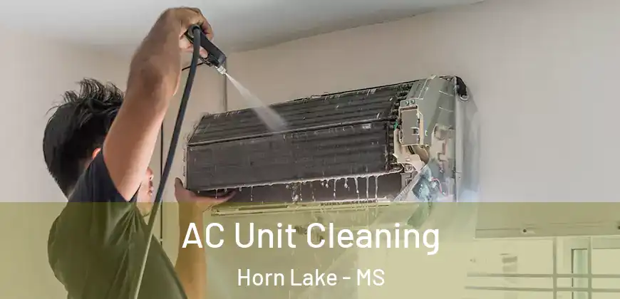 AC Unit Cleaning Horn Lake - MS