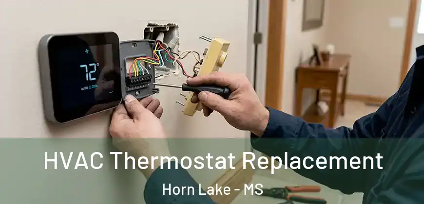 HVAC Thermostat Replacement Horn Lake - MS